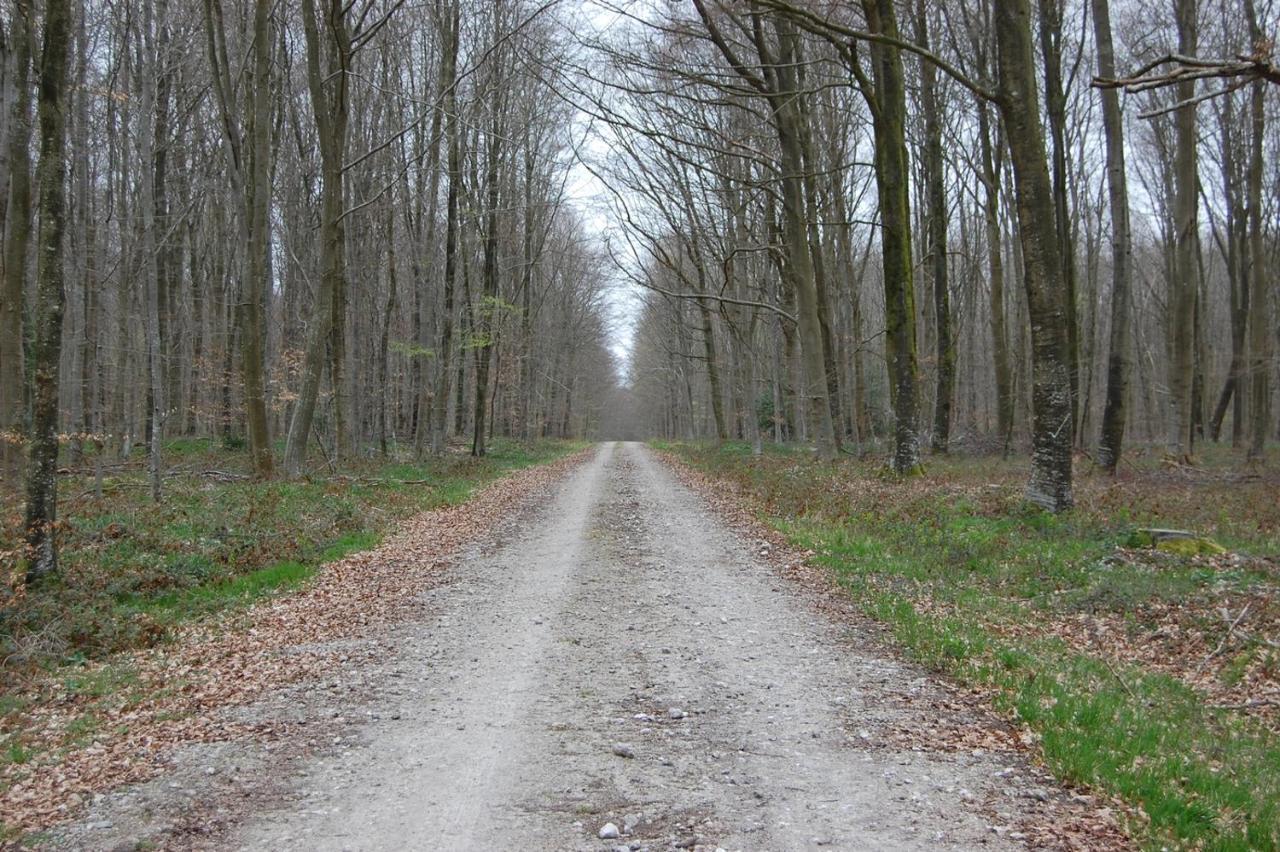 Le Petit Gite De La Varenne Saint-Hellier Eksteriør billede